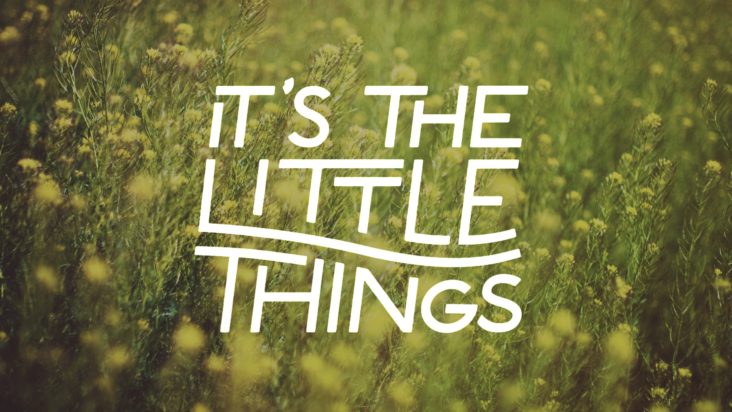 It\'s the Little Things